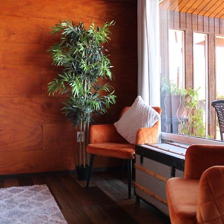 Paraiso Del Valle 엔세나다 외부 사진