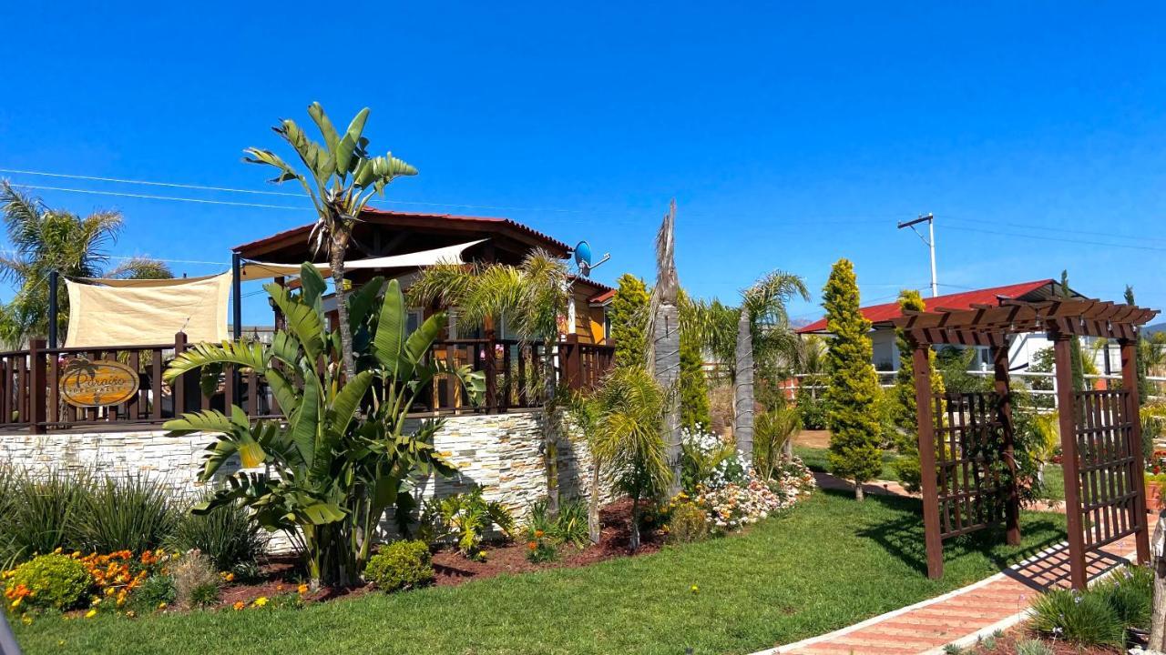 Paraiso Del Valle 엔세나다 외부 사진