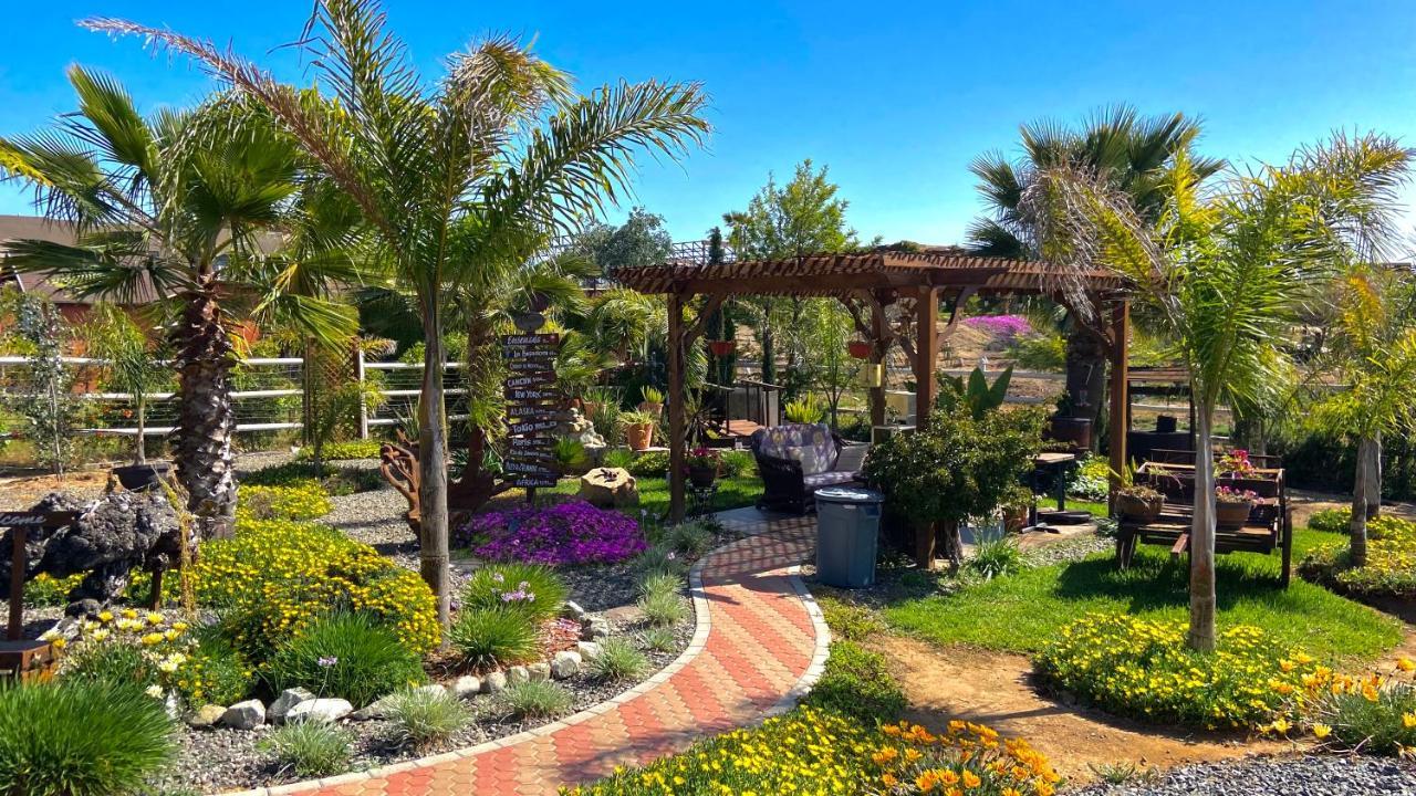 Paraiso Del Valle 엔세나다 외부 사진